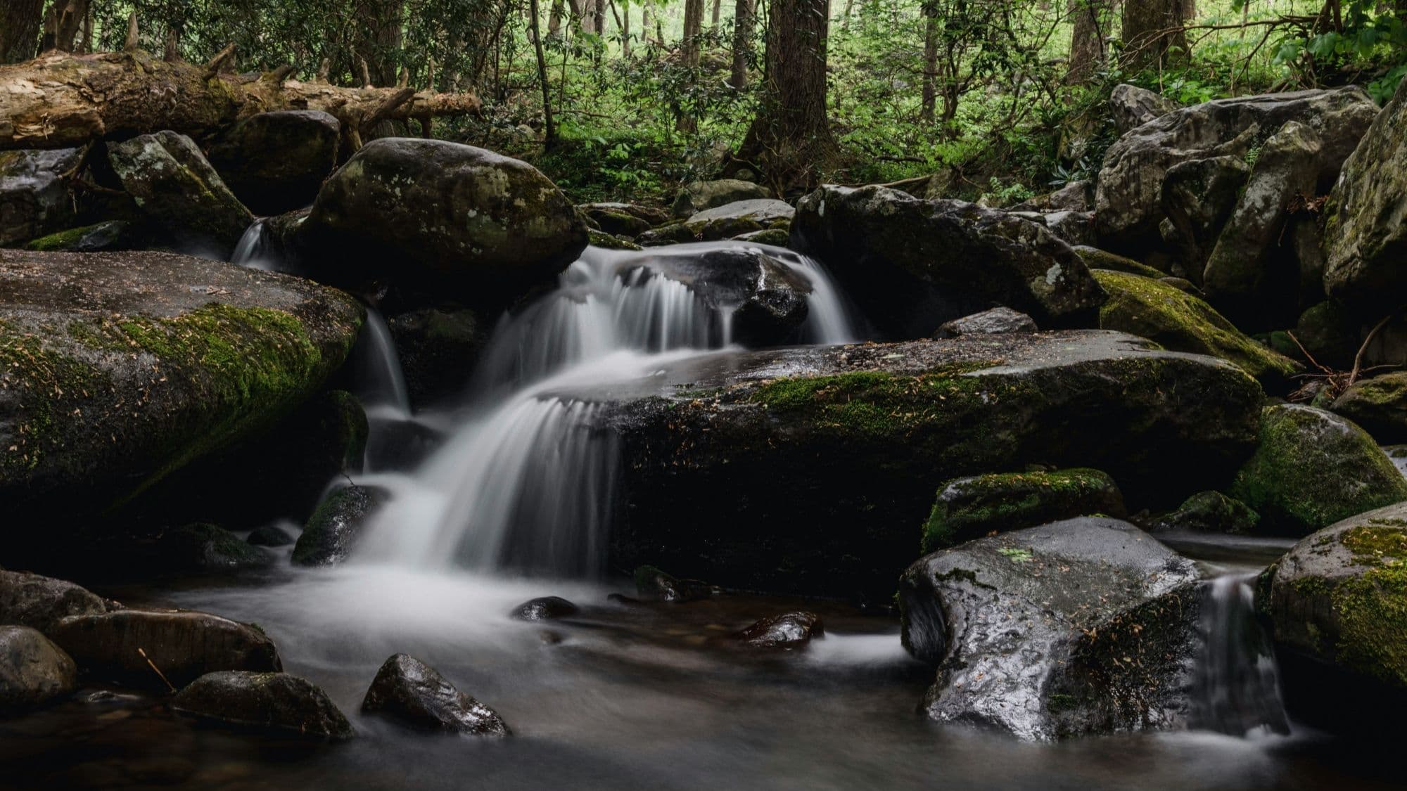 A waterfall along the trail near Ferncrest Bryson City