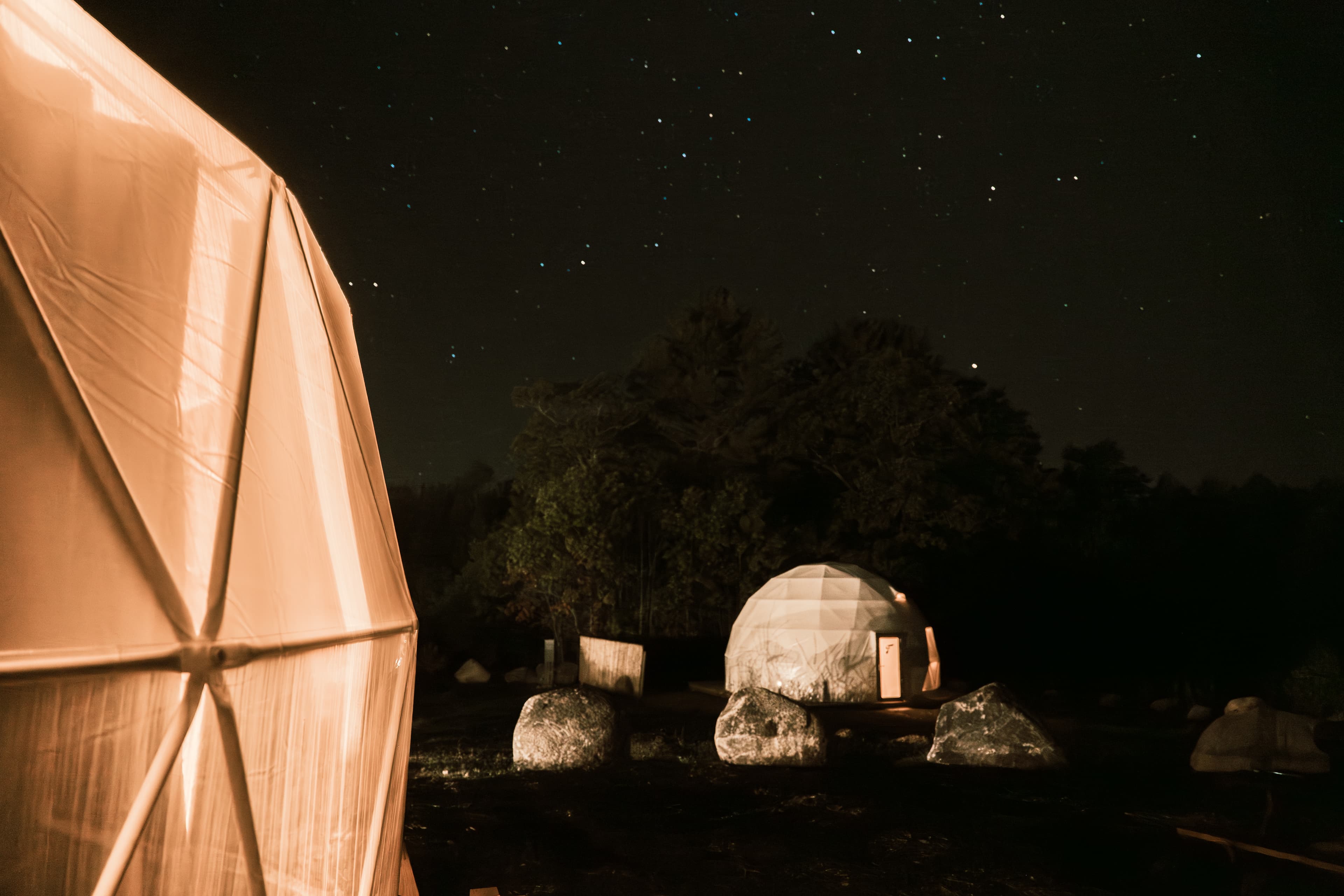 Ferncrest domes glowing under a starry night sky