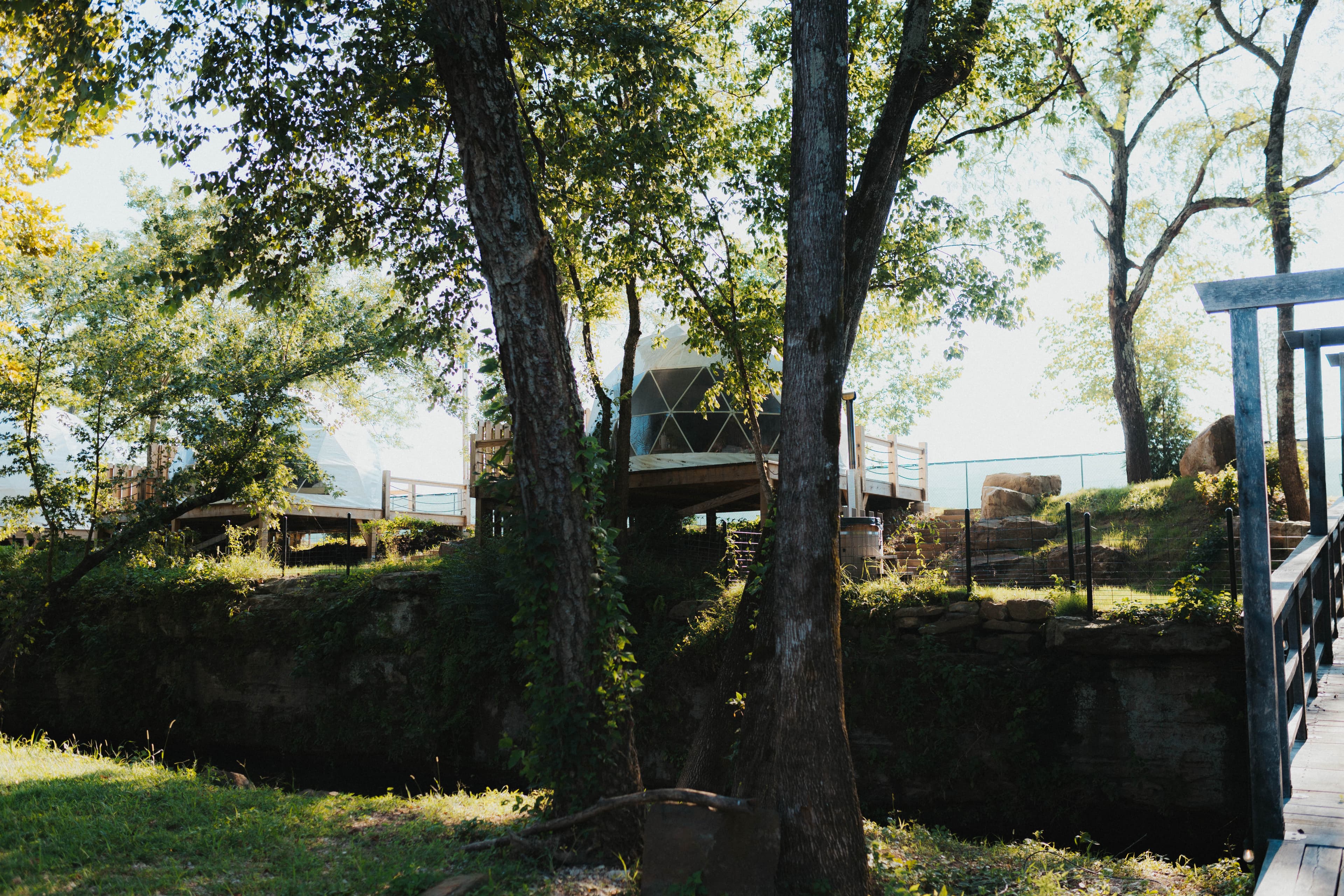 Ferncrest glamping dome nestled in a scenic wooded setting