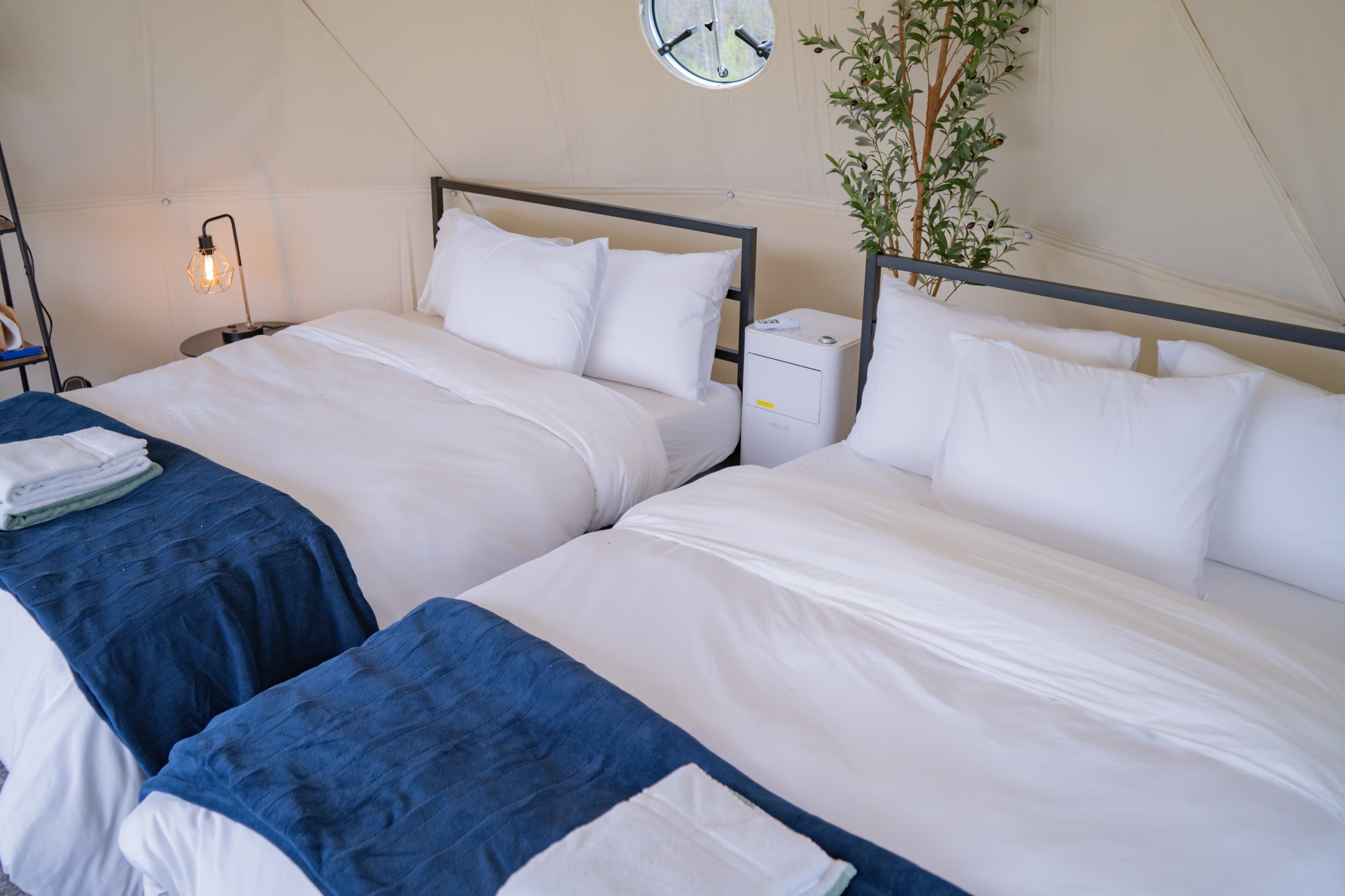 Basecamp dome interior at Ferncrest Acadia