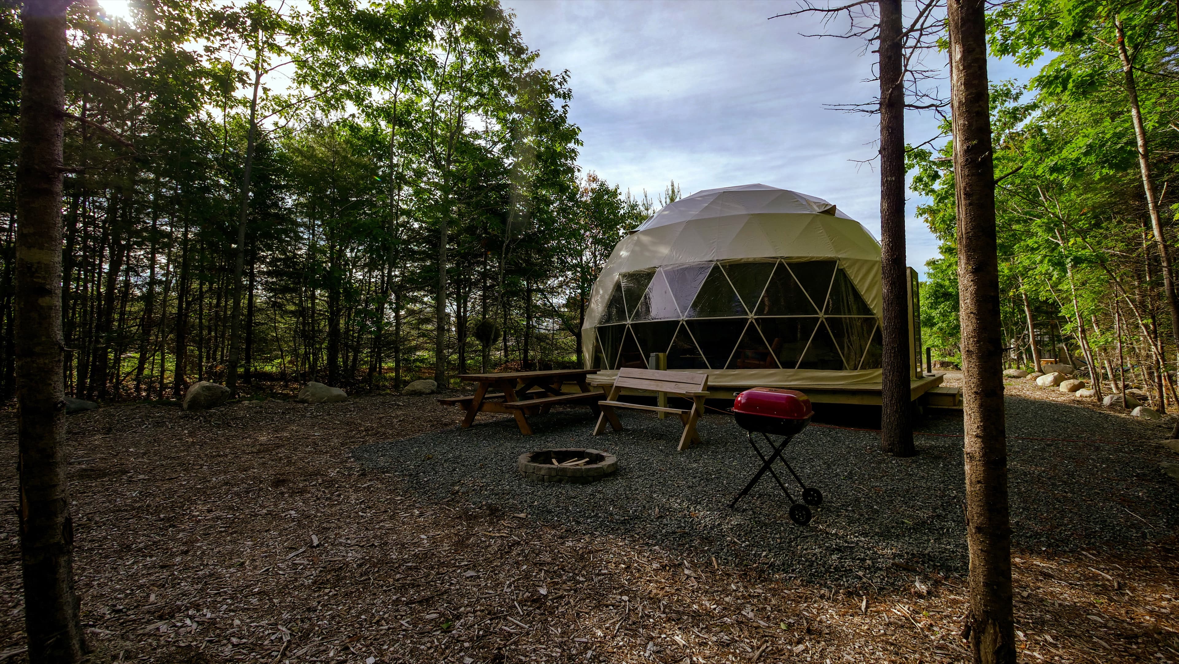 Ferncrest Acadia Opens
