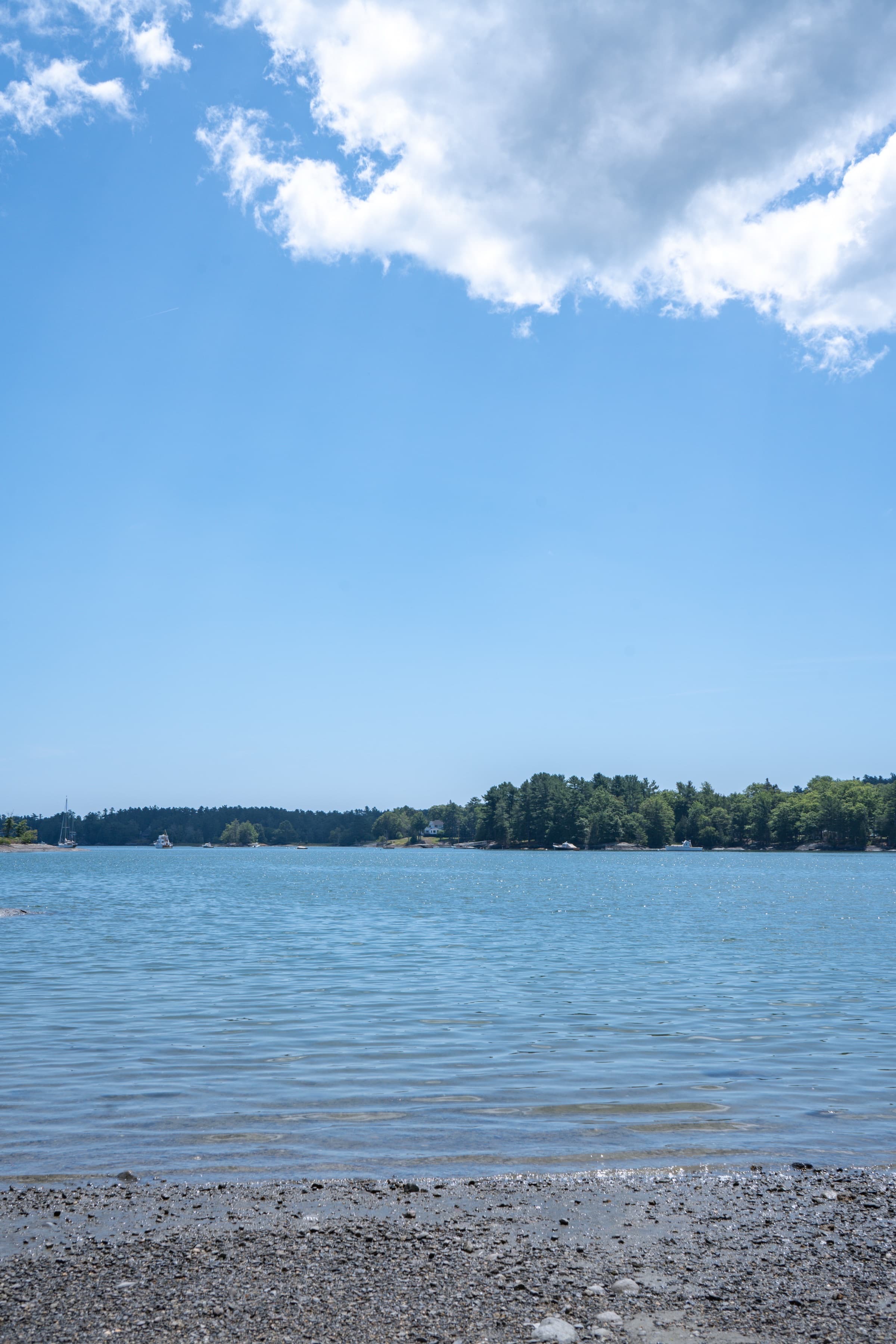 Kayak Rentals at Walker Pond
