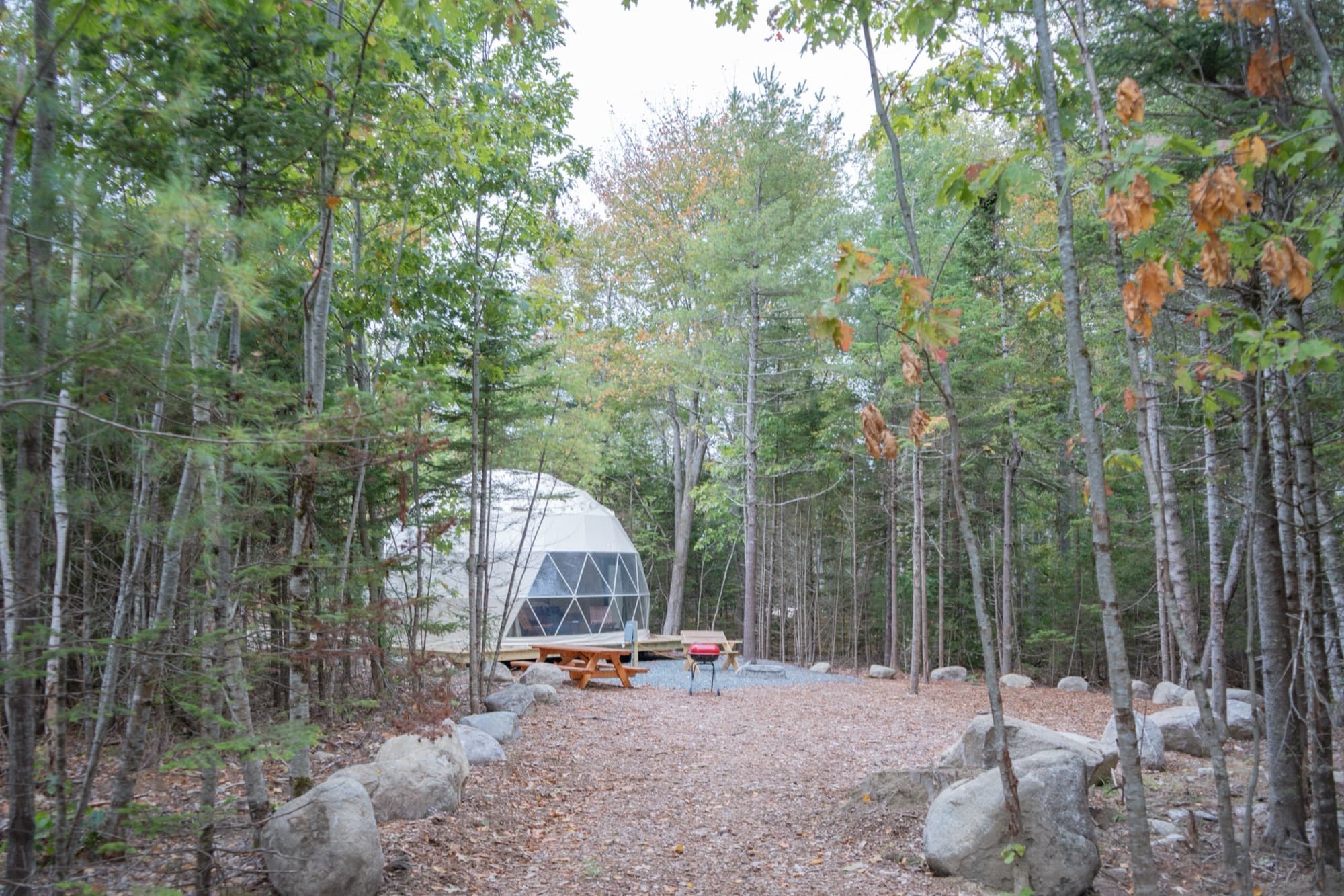 Ferncrest Acadia — where to stay