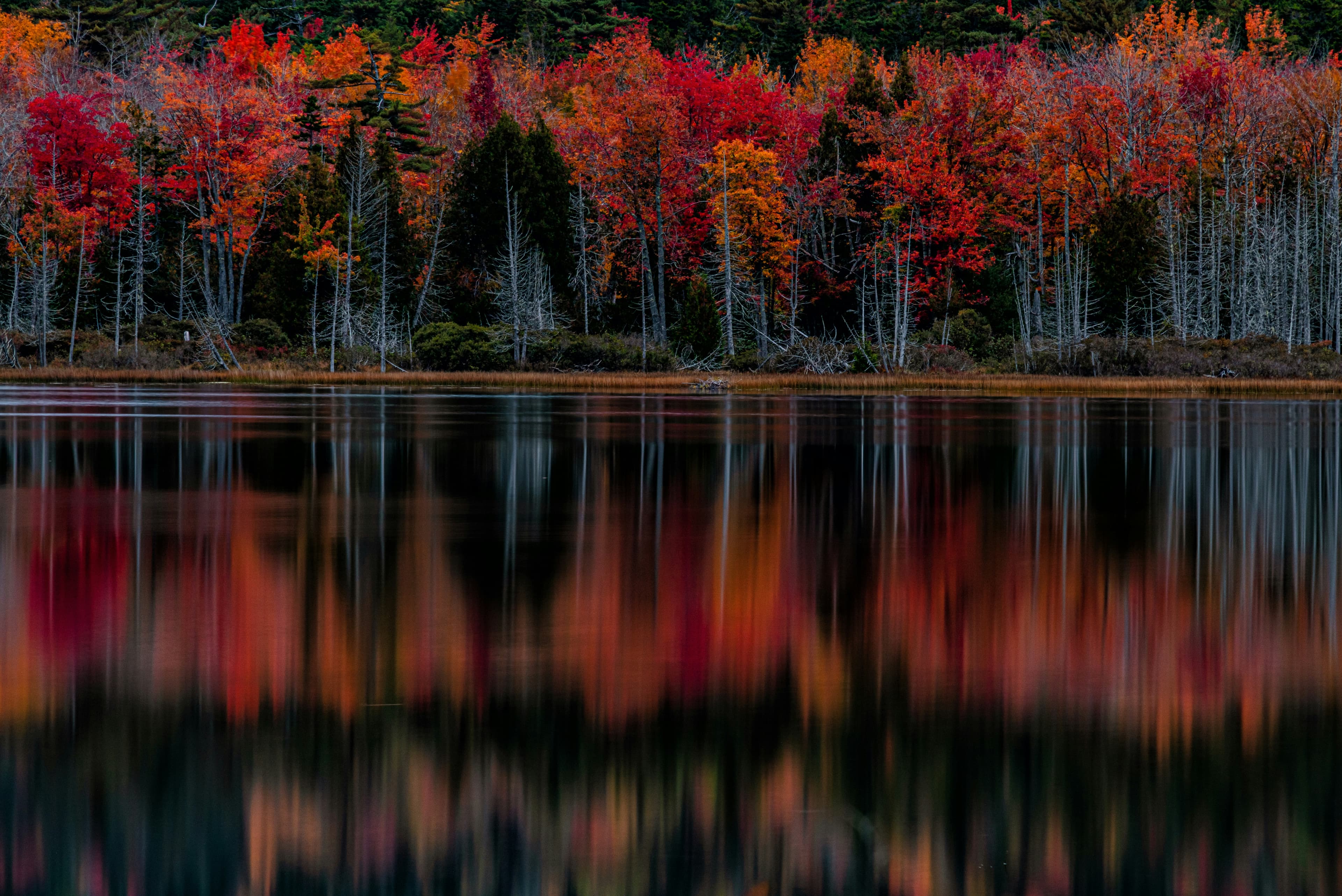 A crimson and orange treeline mirrored in still water