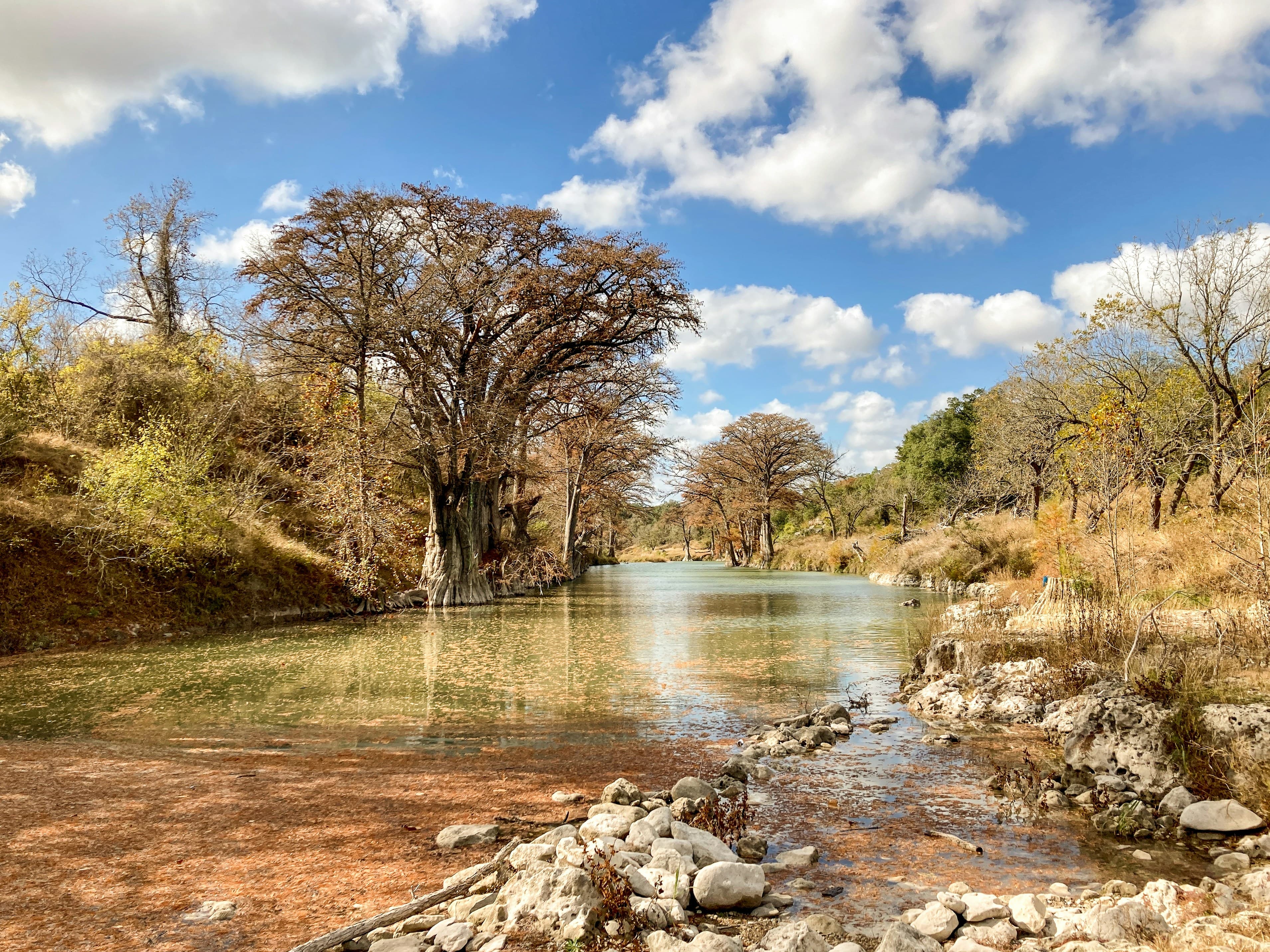 Ferncrest Chambers Creek
