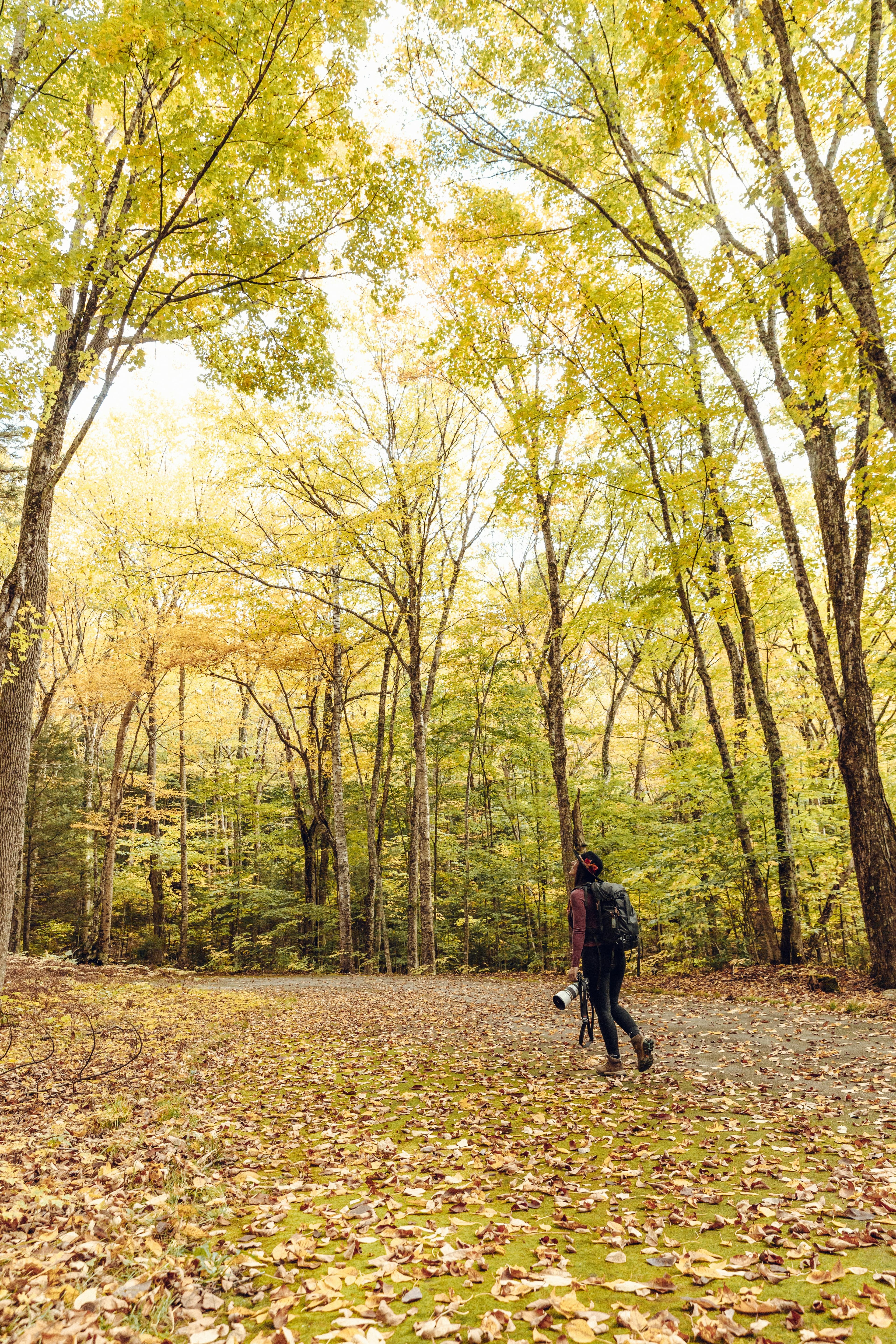 Hiking a fall trail