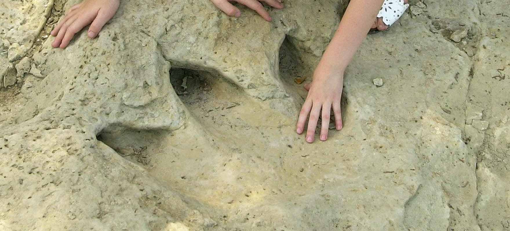 Children's hands beside a fossilised dinosaur track in the limestone