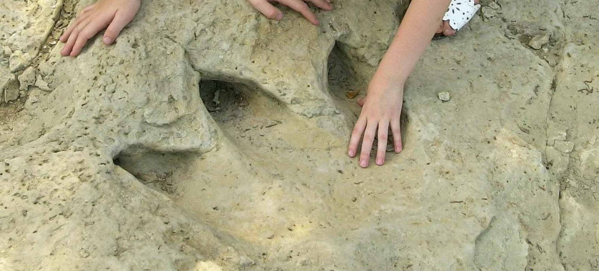 Dinosaur Valley State Park — things to do