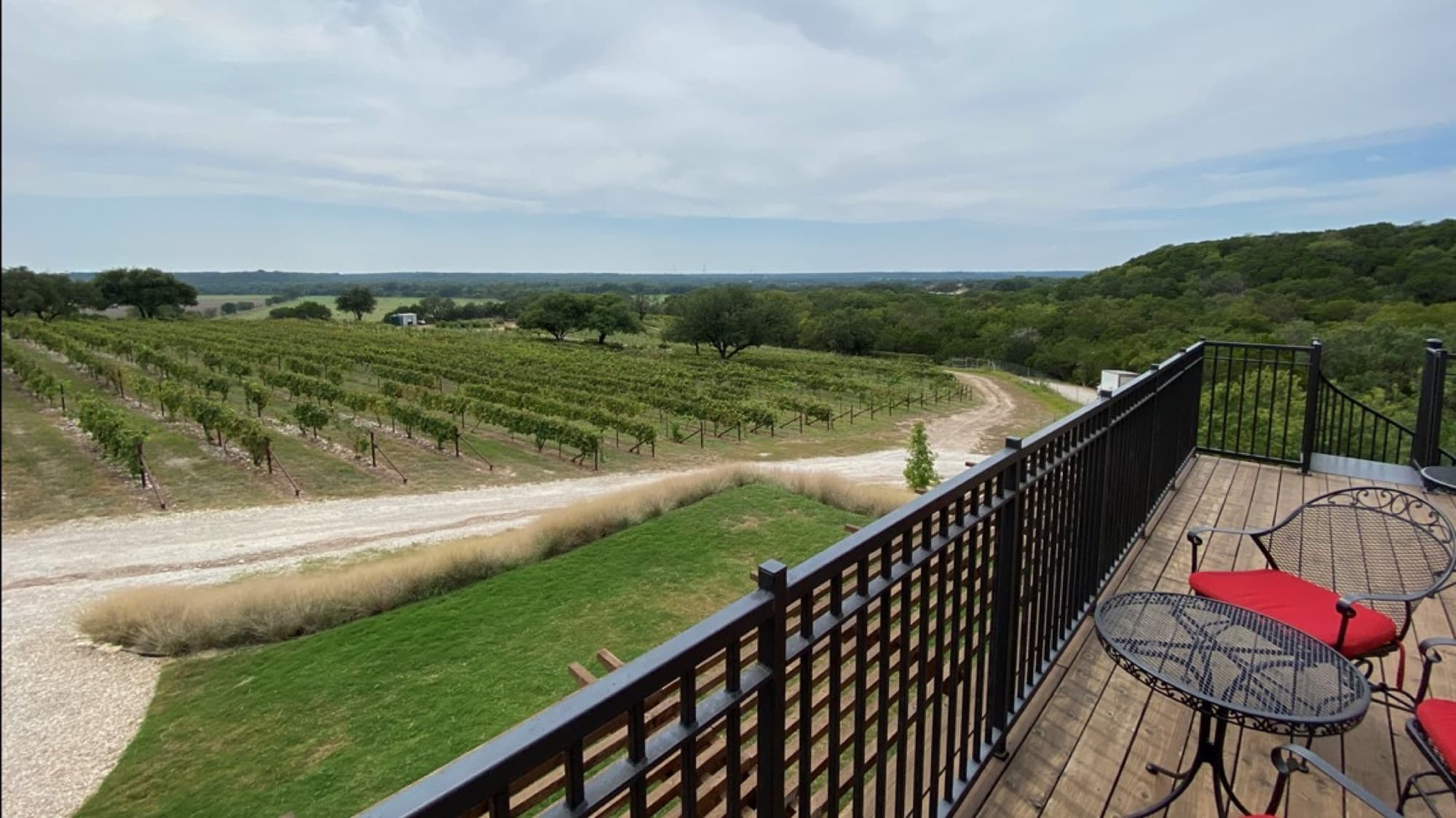 Valley Mills Vineyard in Valley Mills, Texas