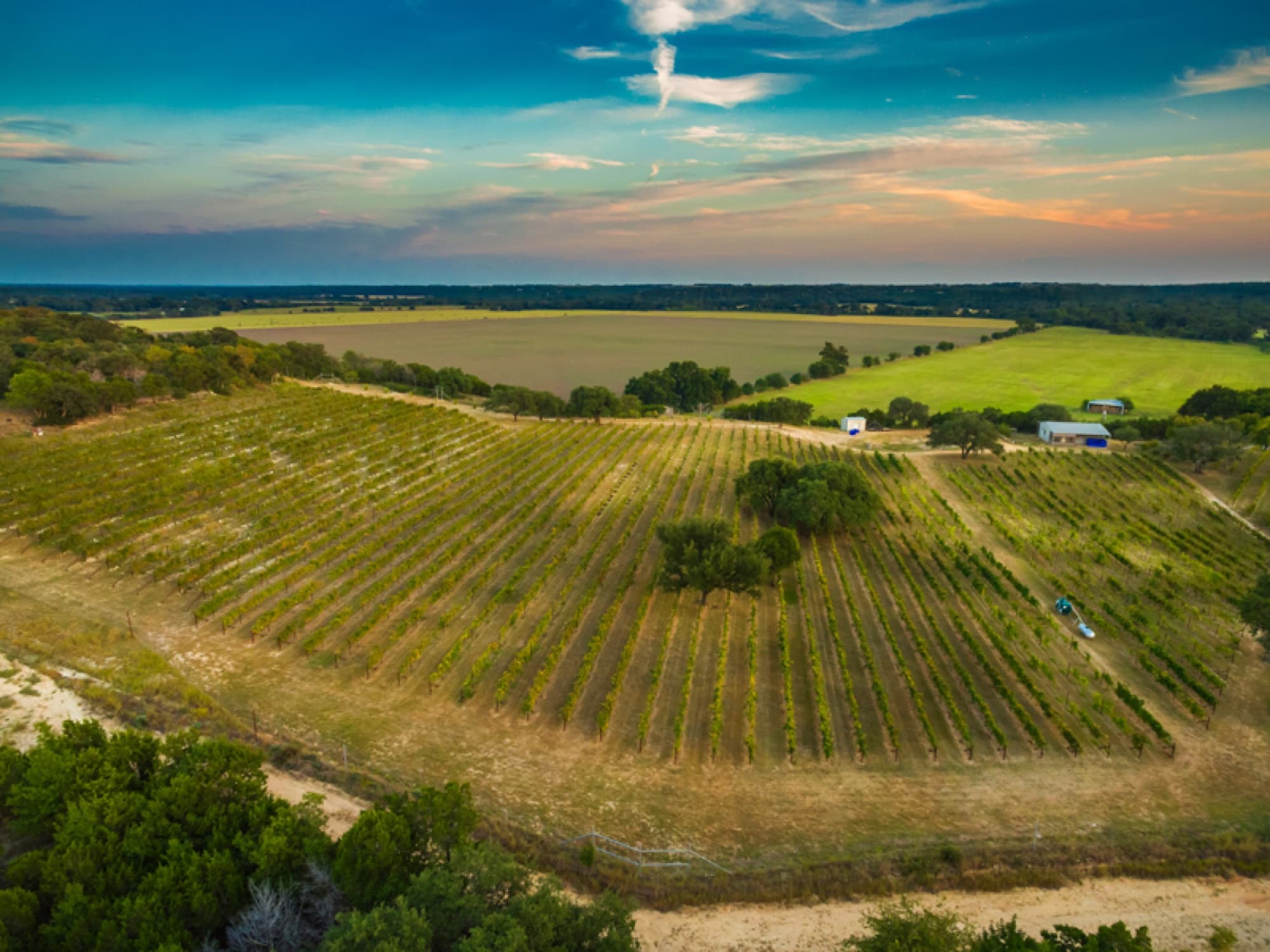 Valley Mills Vineyard — things to do