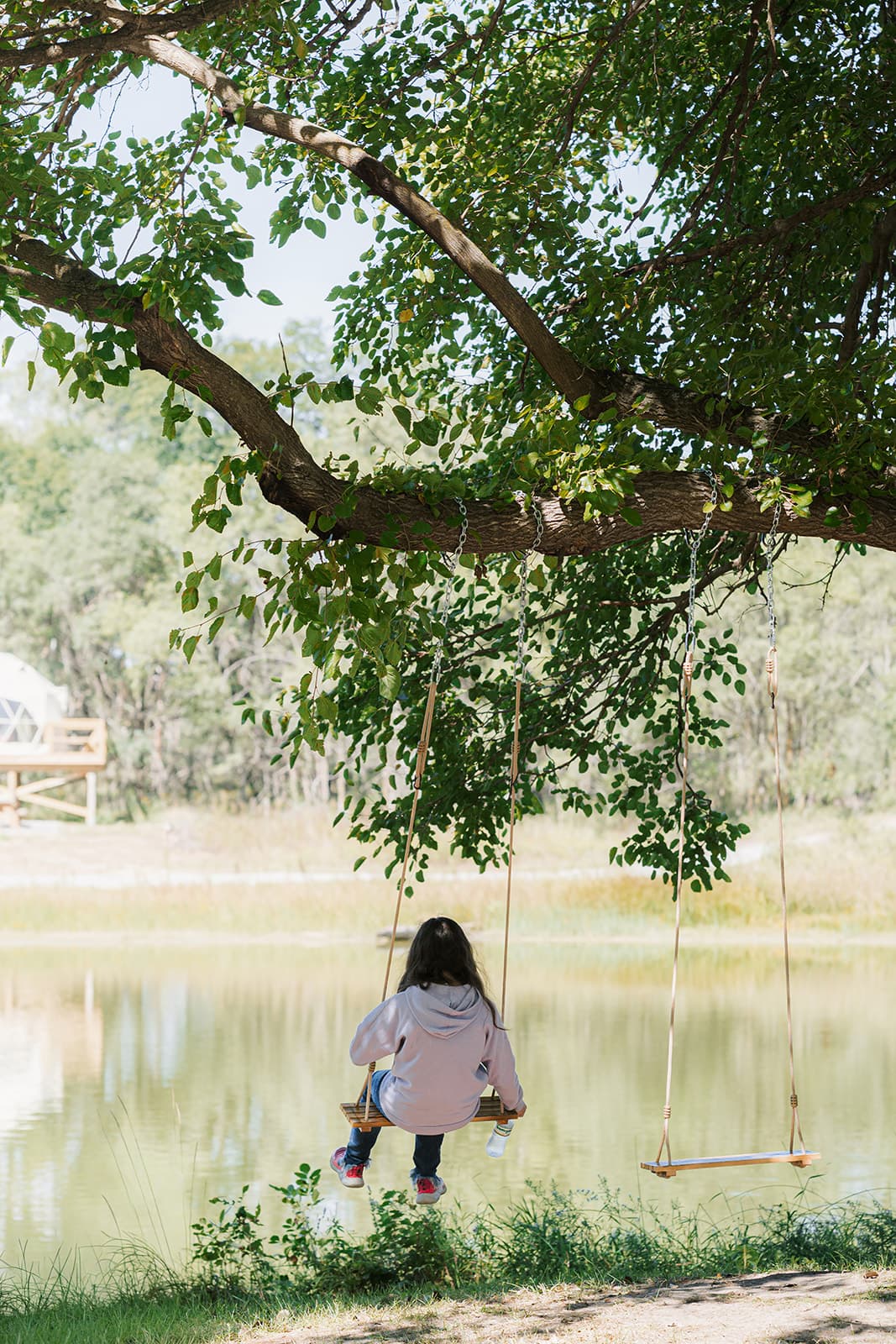 A child on one of the two rope swings under a big cottonwood, looking out over Cottonwood Lake
