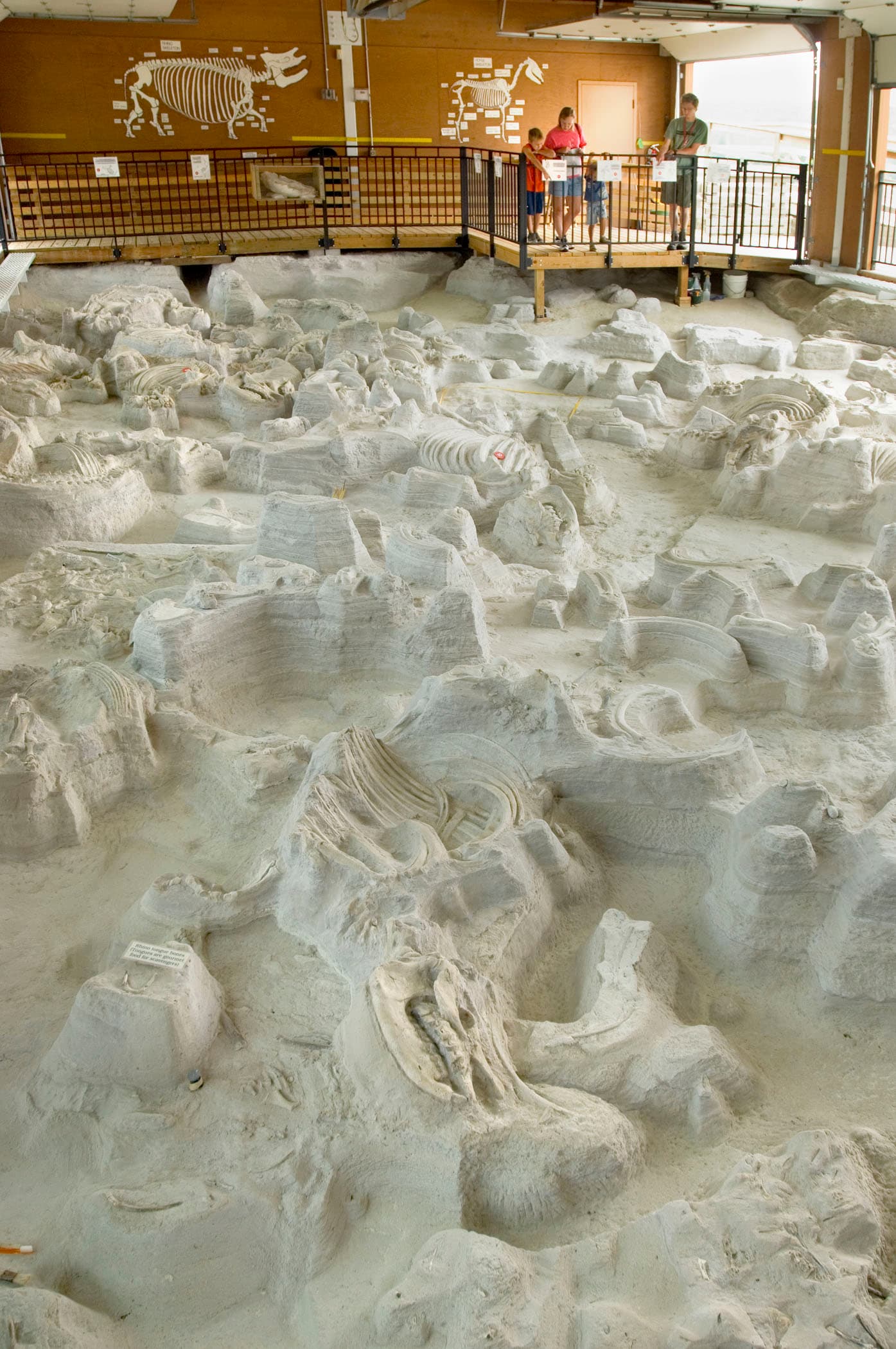 Visitors on the walkway above the excavated ash bed of fossil skeletons at Ashfall