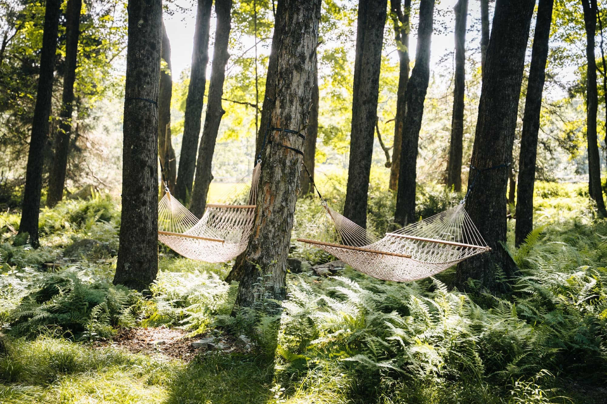 Peaceful stay at Ferncrest