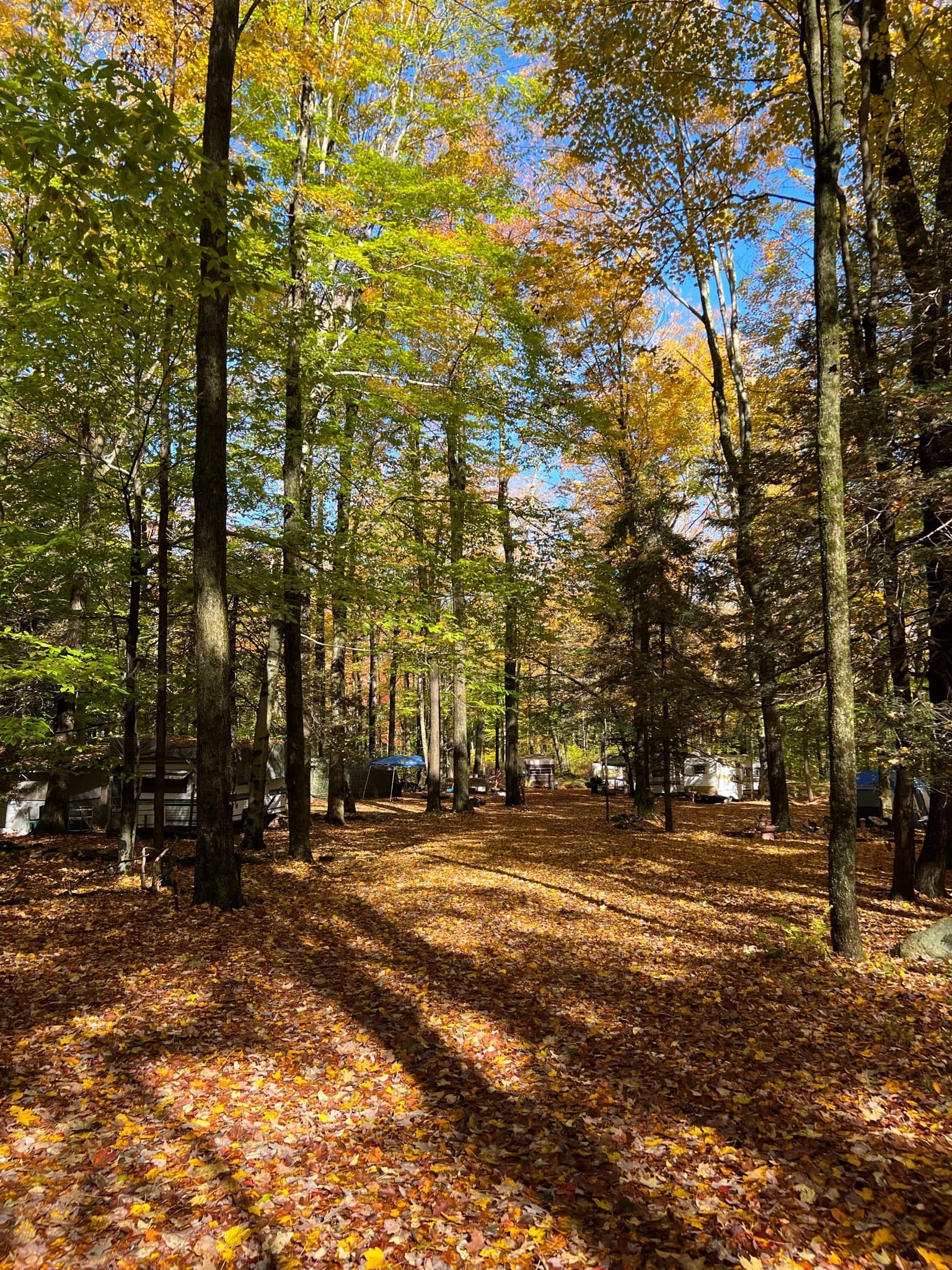 Purchased Wilson Campground