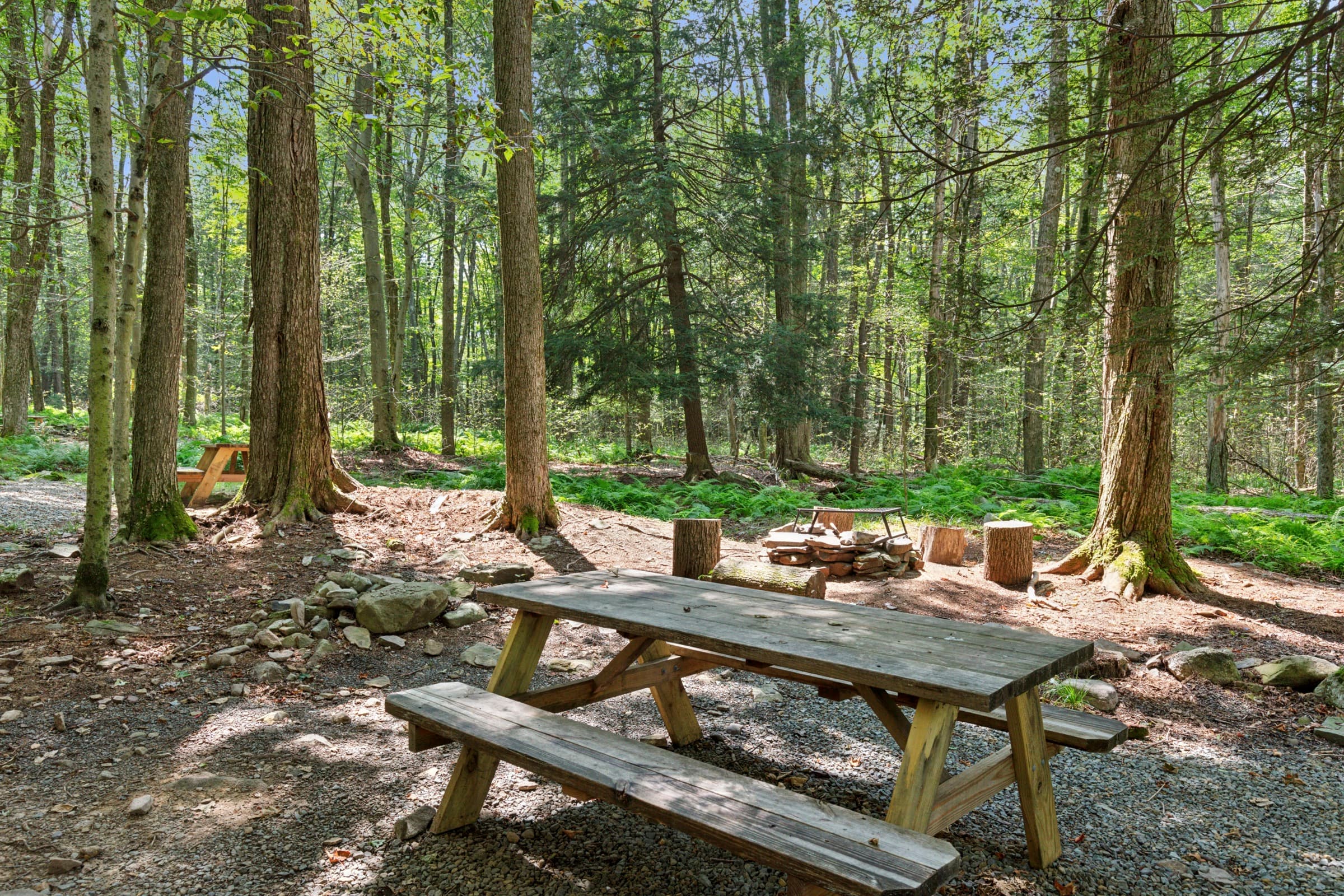 Crest tent at Ferncrest Promised Land