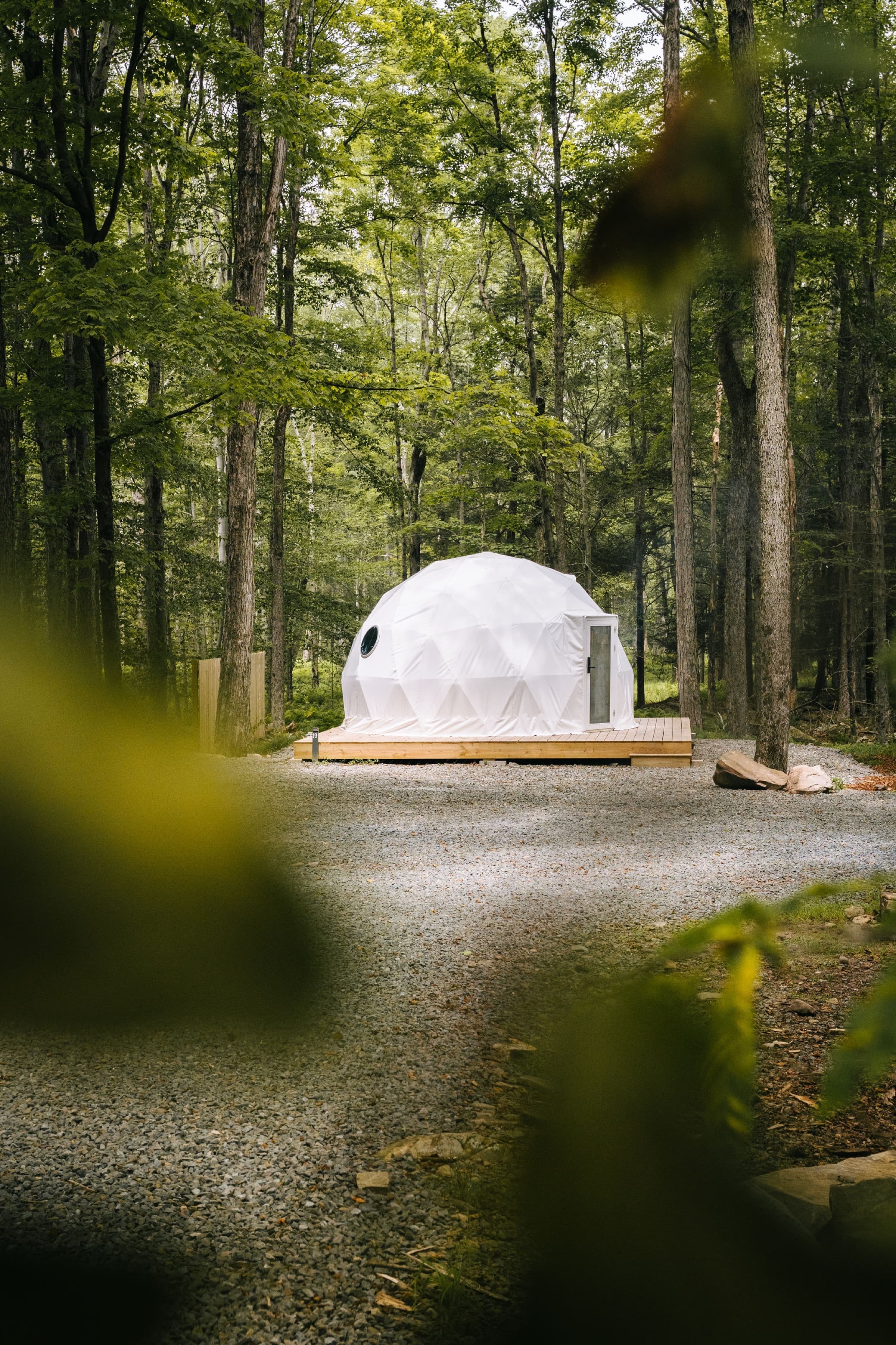 The Experience Takes Shape