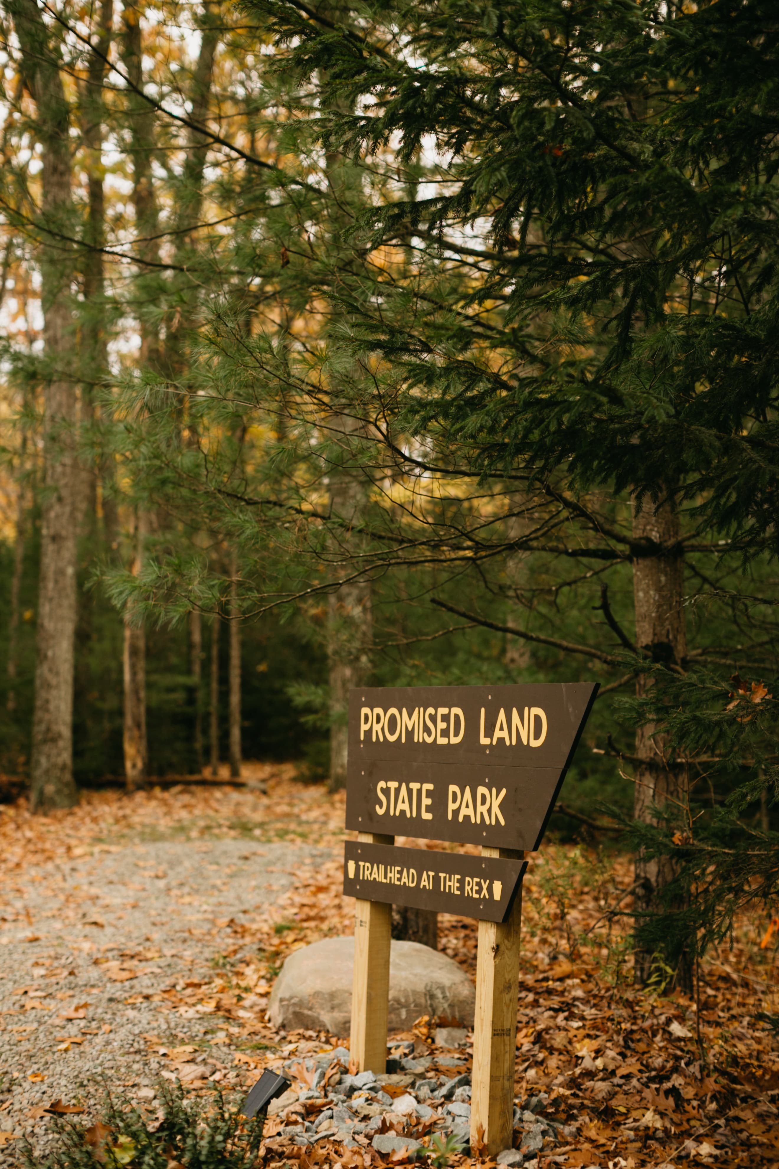 Fall foliage at Ferncrest Promised Land
