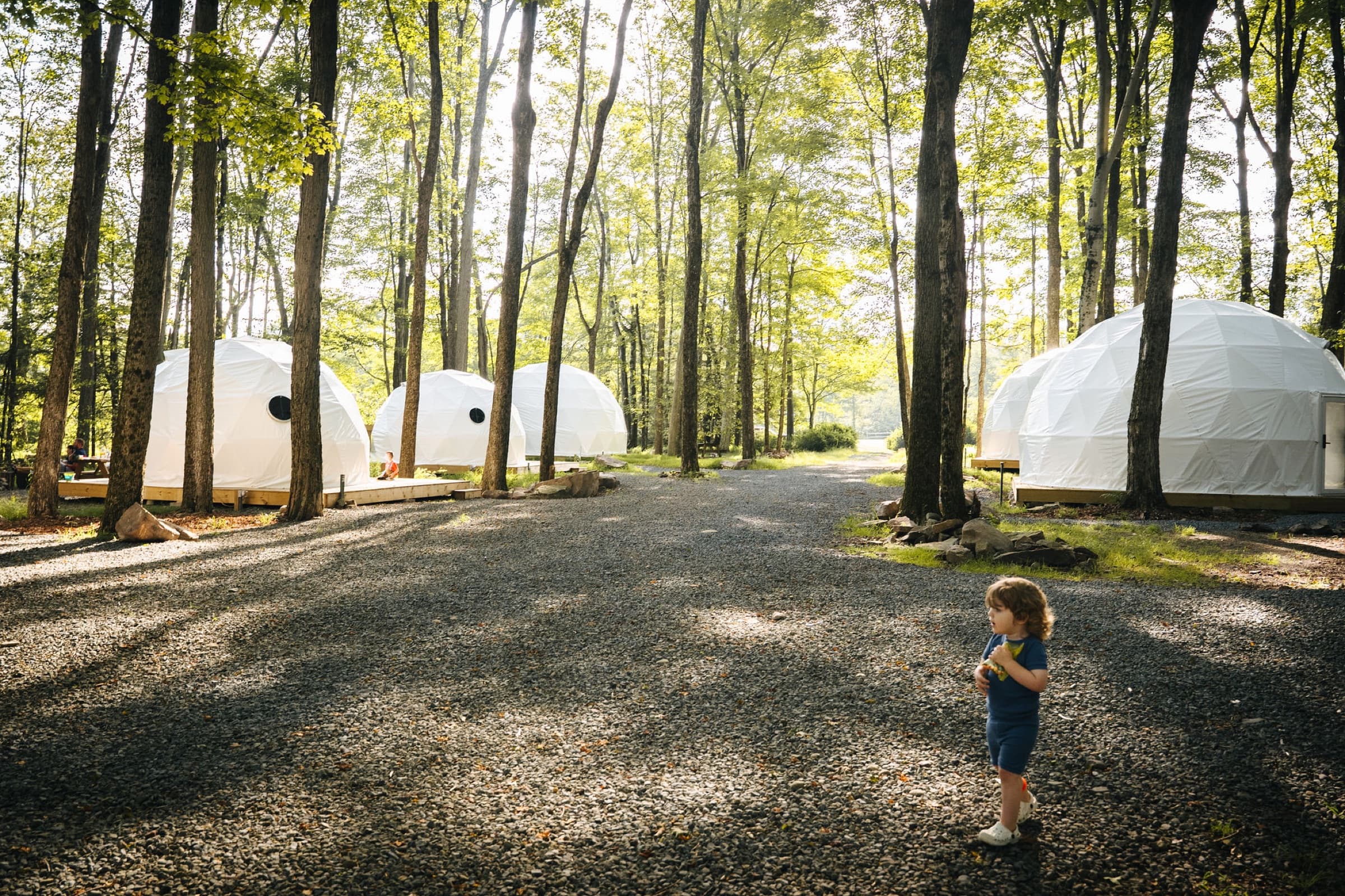 Forest grounds at Ferncrest Promised Land