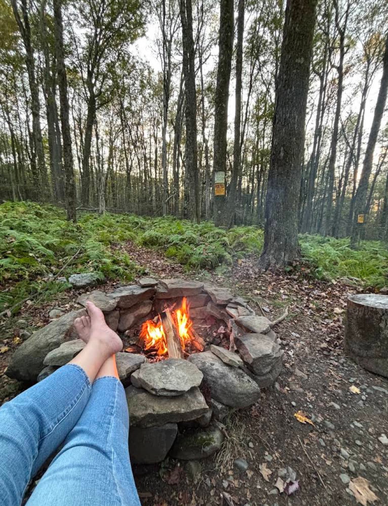 Guest photo from Ferncrest Promised Land