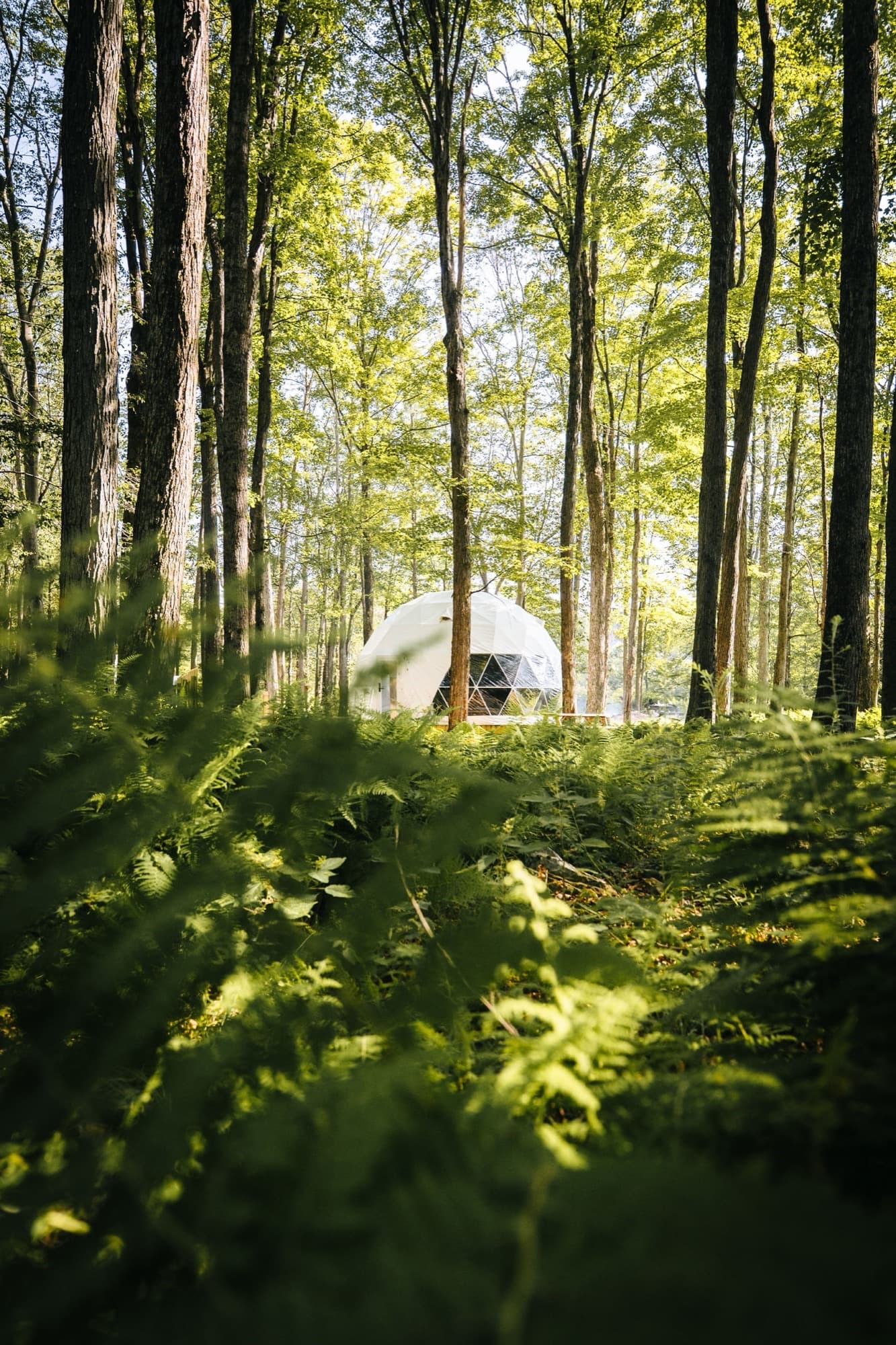 Ferncrest Promised Land — where to stay