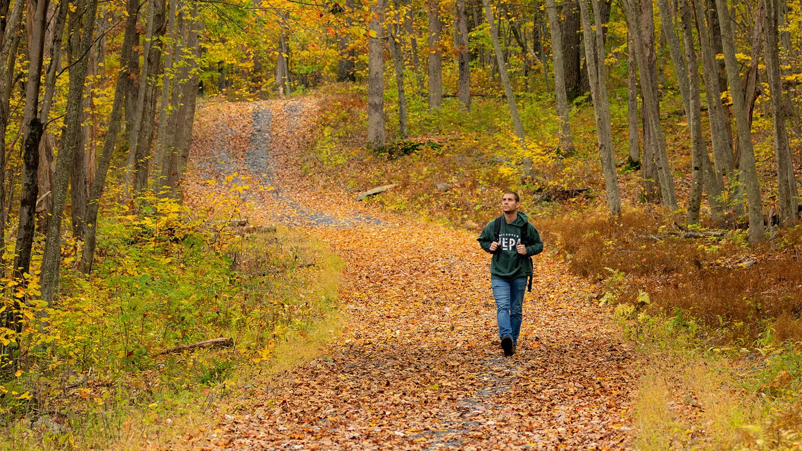 Delaware State Forest — things to do