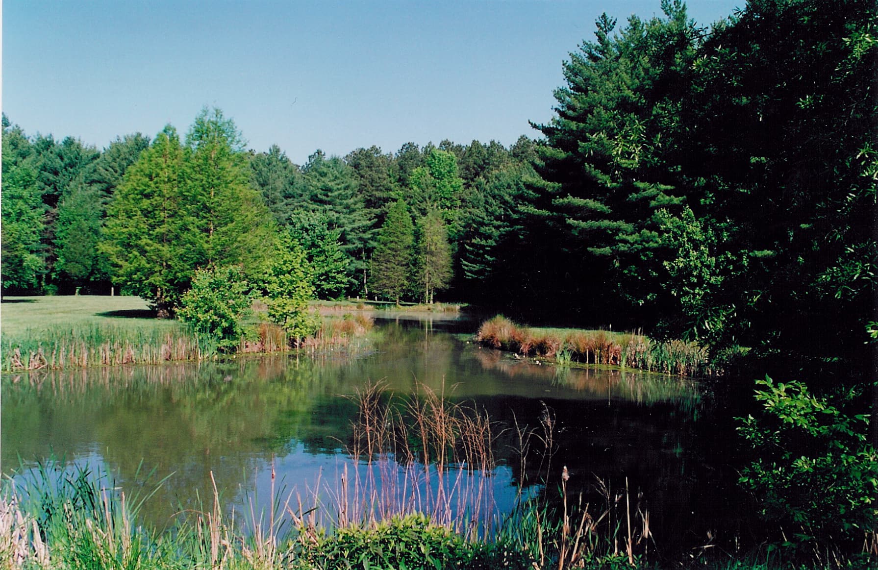 Delaware State Forest in Pocono Mountains, Pennsylvania