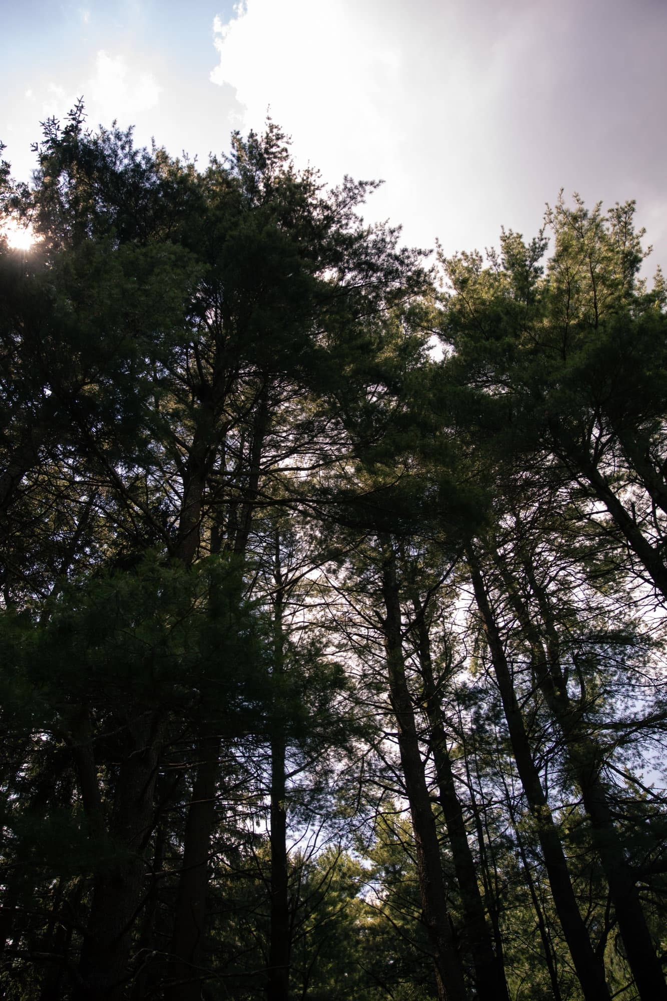 Promised Land State Park — things to do